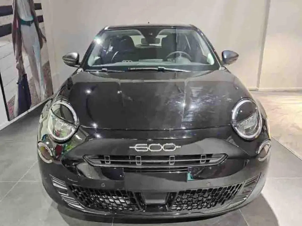Fiat 600 nuova a Torino (17)