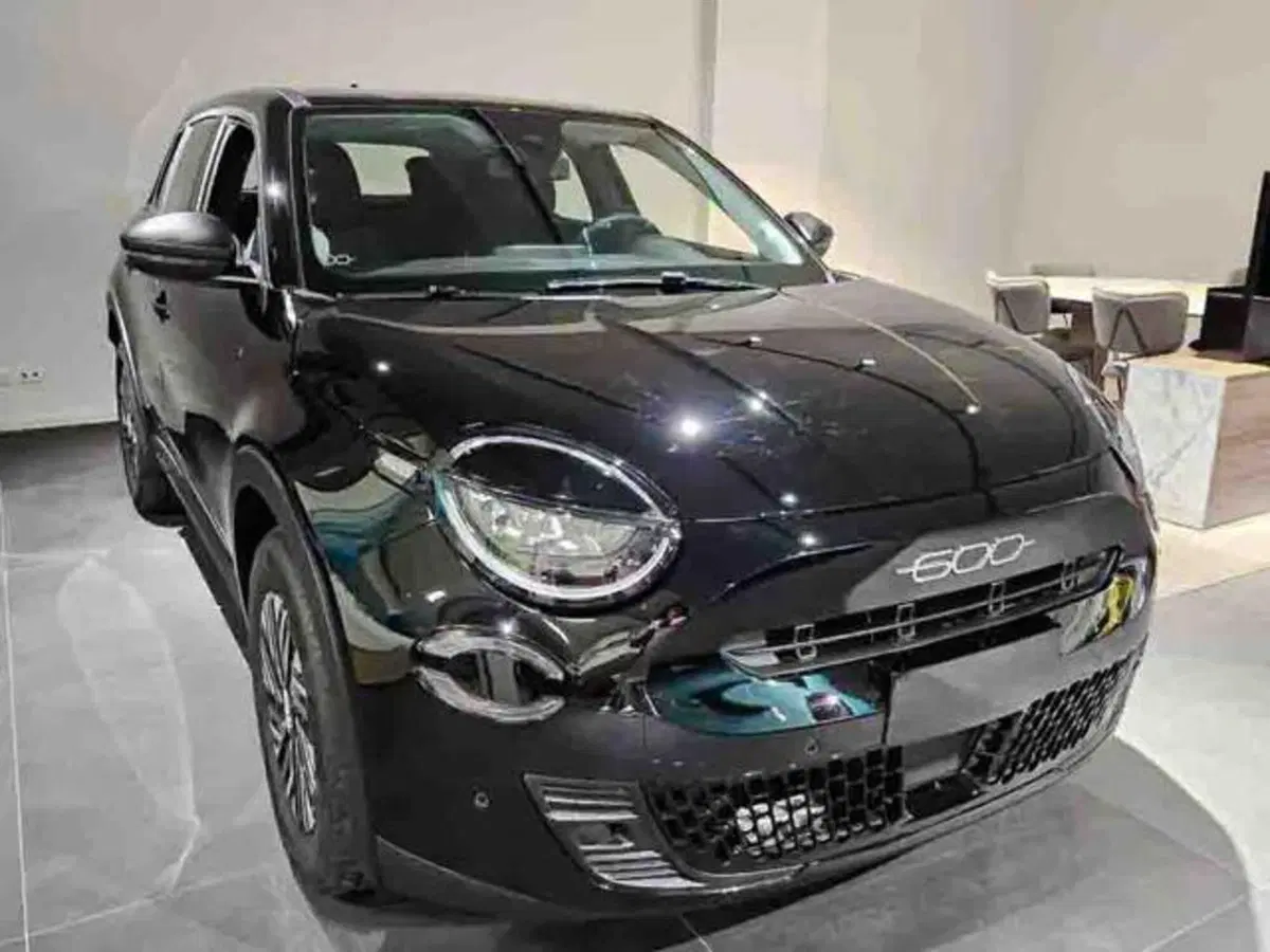 Fiat 600 nuova a Torino (2)