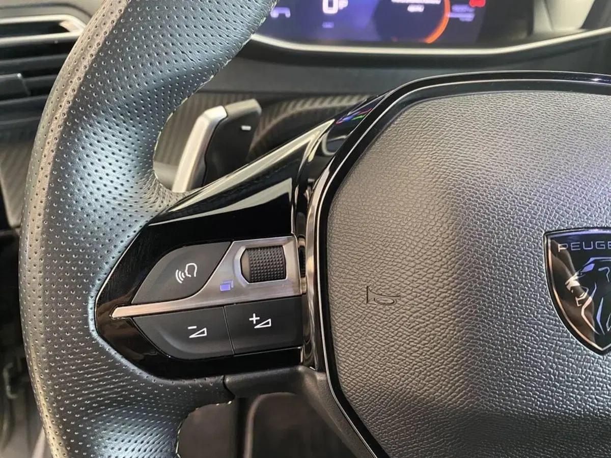 Peugeot 208 usata a Torino (13)