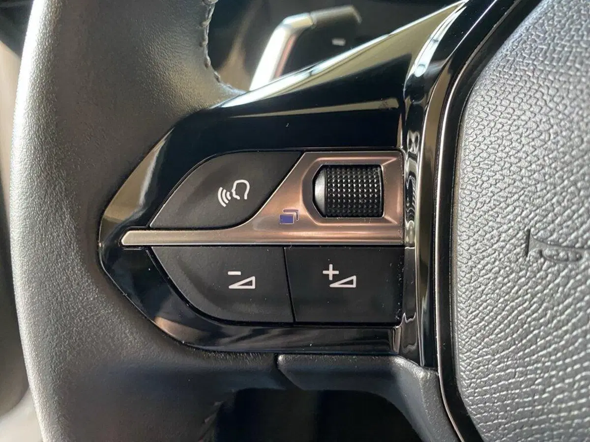 Peugeot 2008 usata a Torino (13)