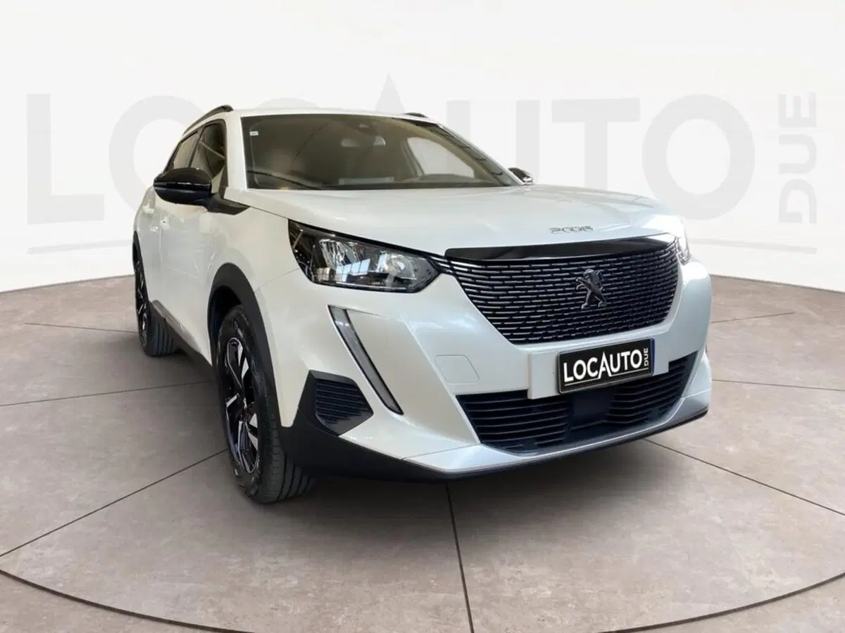 Peugeot 2008 usata a Torino (3)