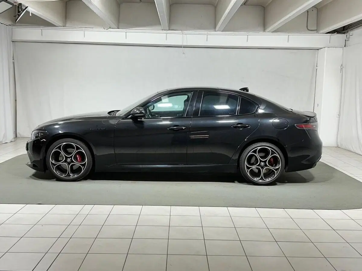 Alfa Romeo Giulia usata a Sondrio (2)