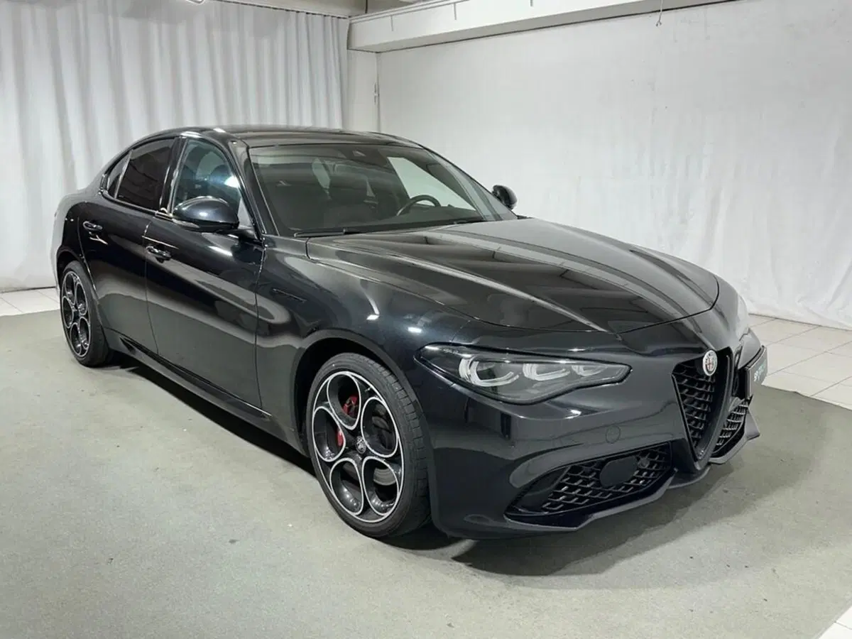 Alfa Romeo Giulia usata a Sondrio (7)
