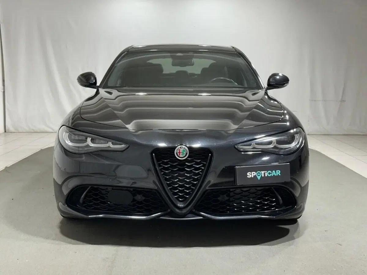 Alfa Romeo Giulia usata a Sondrio (8)