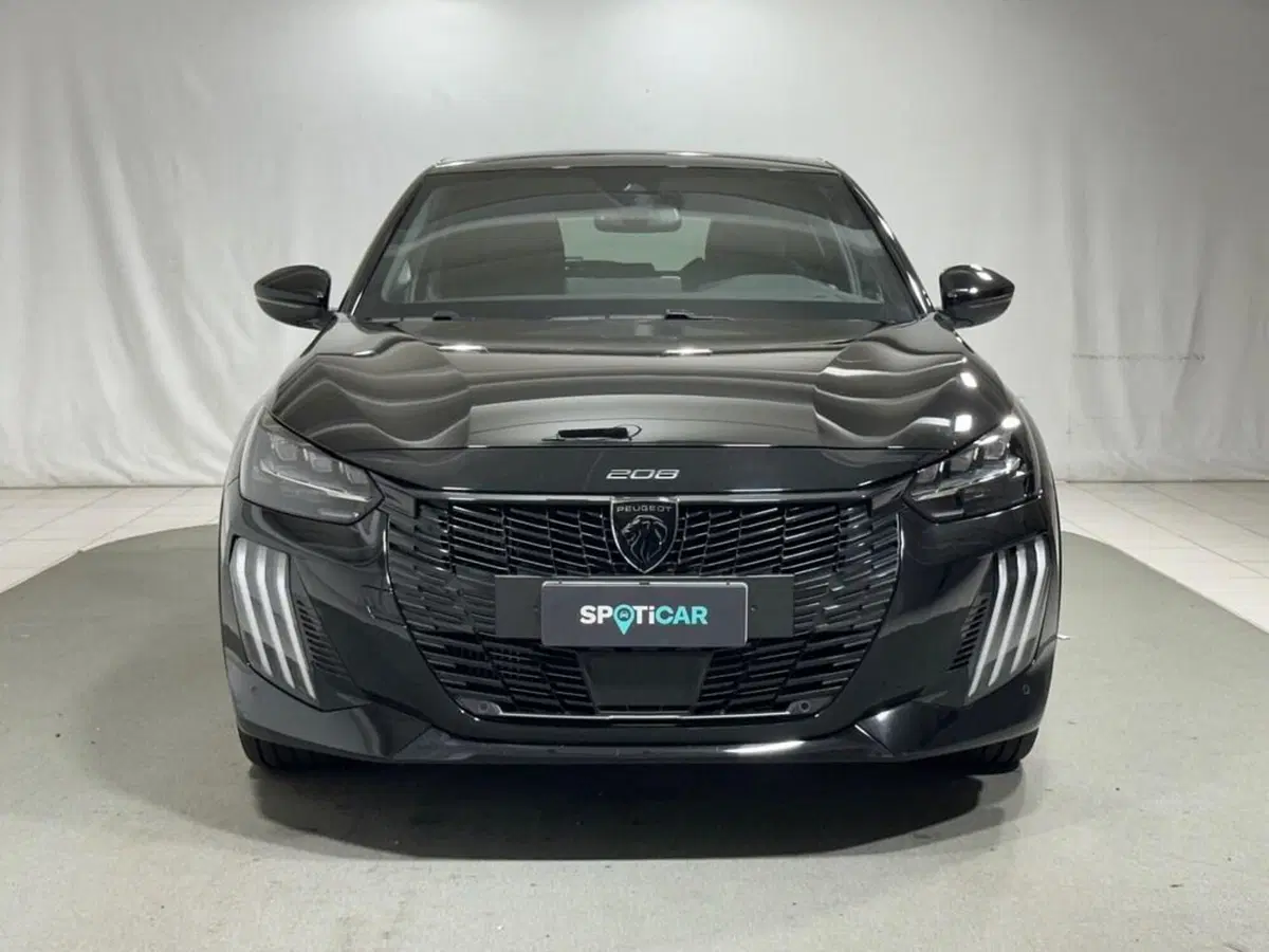 Peugeot 208 usata a Sondrio (8)