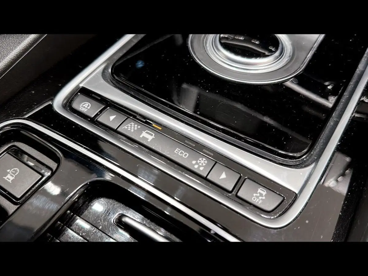 Jaguar F-Pace usata a Varese (15)