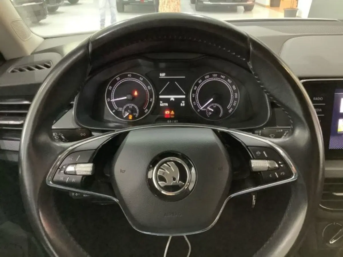 Skoda Kamiq usata a Catania (18)
