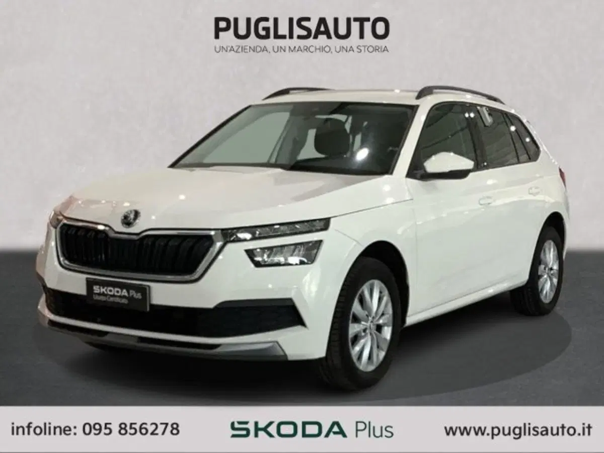 Skoda Kamiq usata a Catania (3)