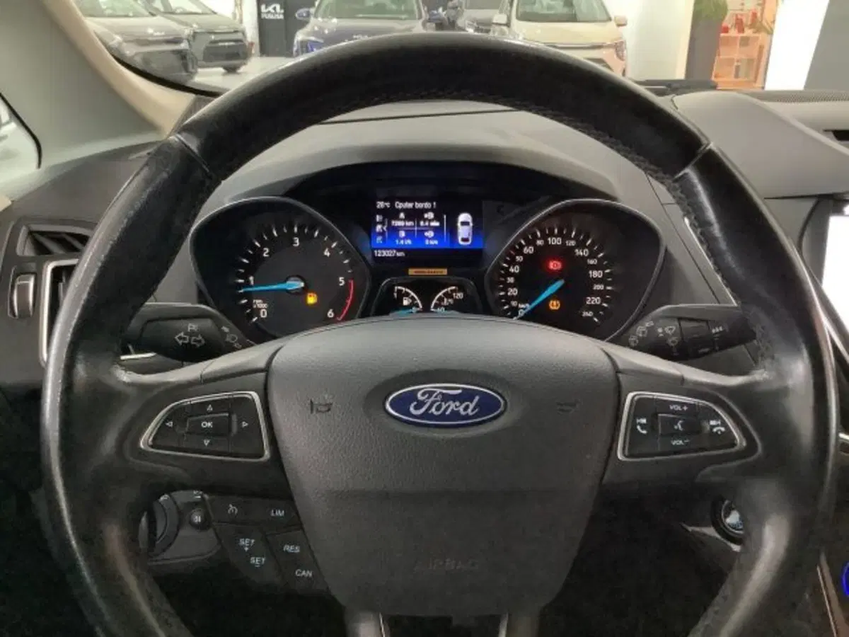 Ford C-Max usata a Catania (18)