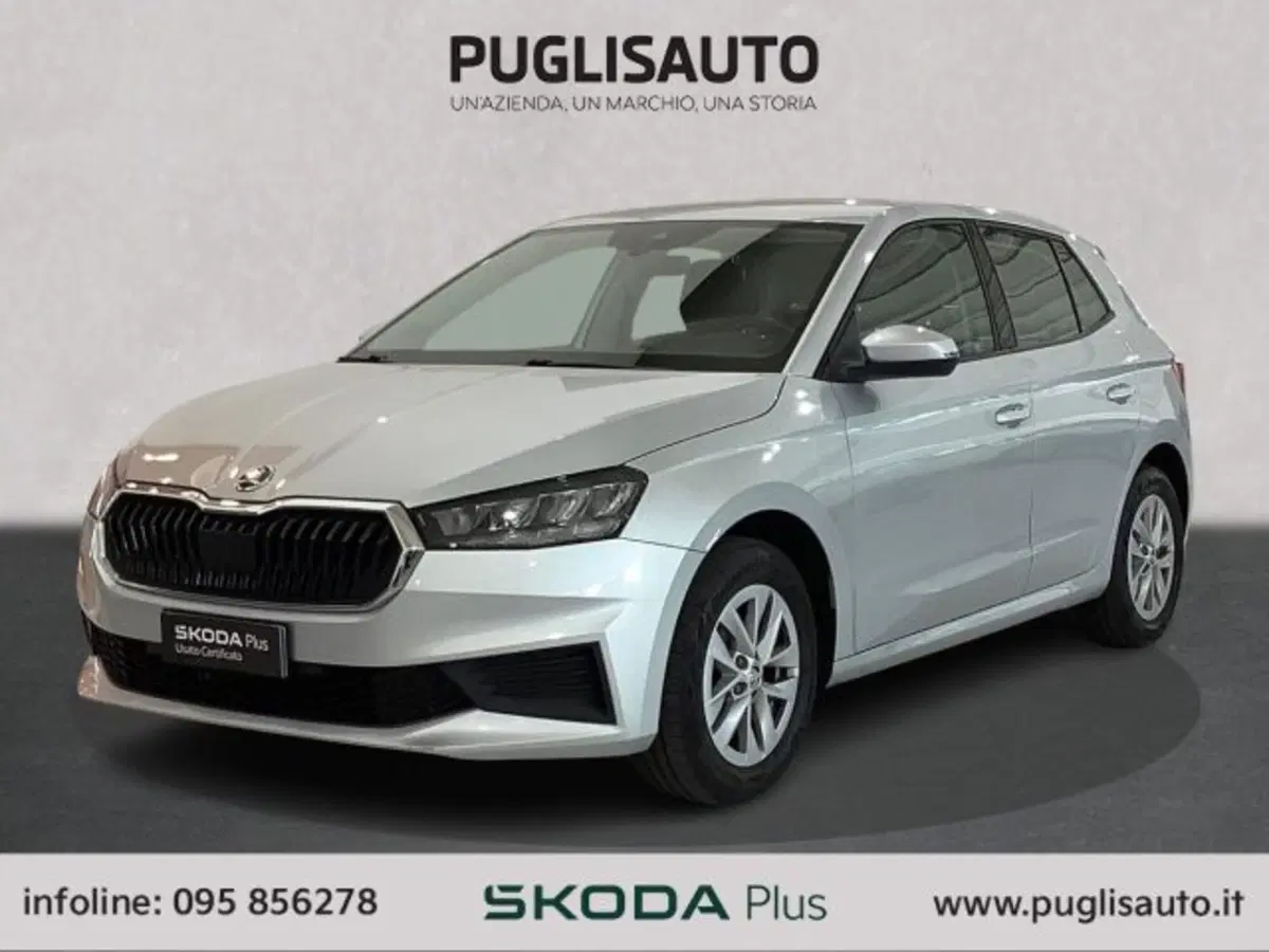 Skoda Fabia usata a Catania (3)