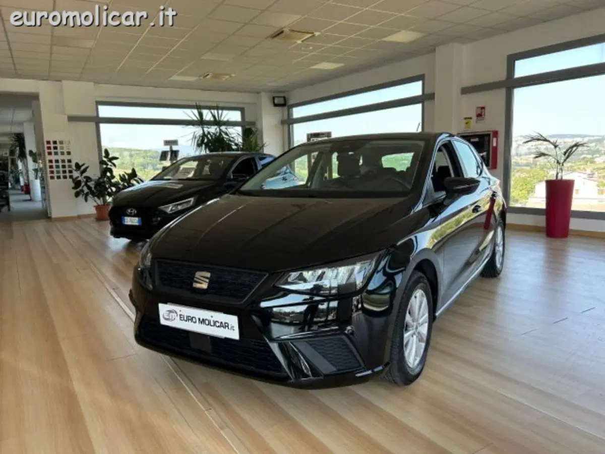 SEAT Ibiza usata a Campobasso