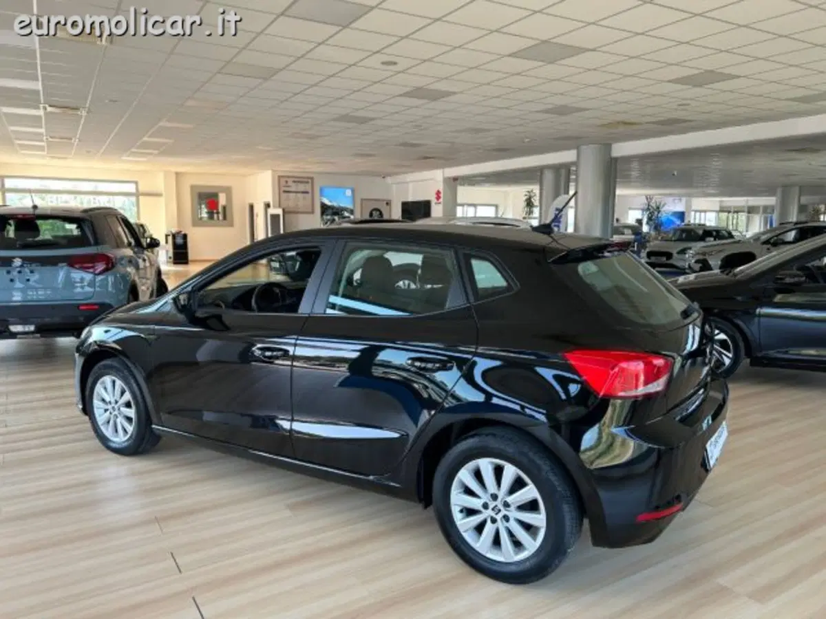 SEAT Ibiza usata a Campobasso (8)