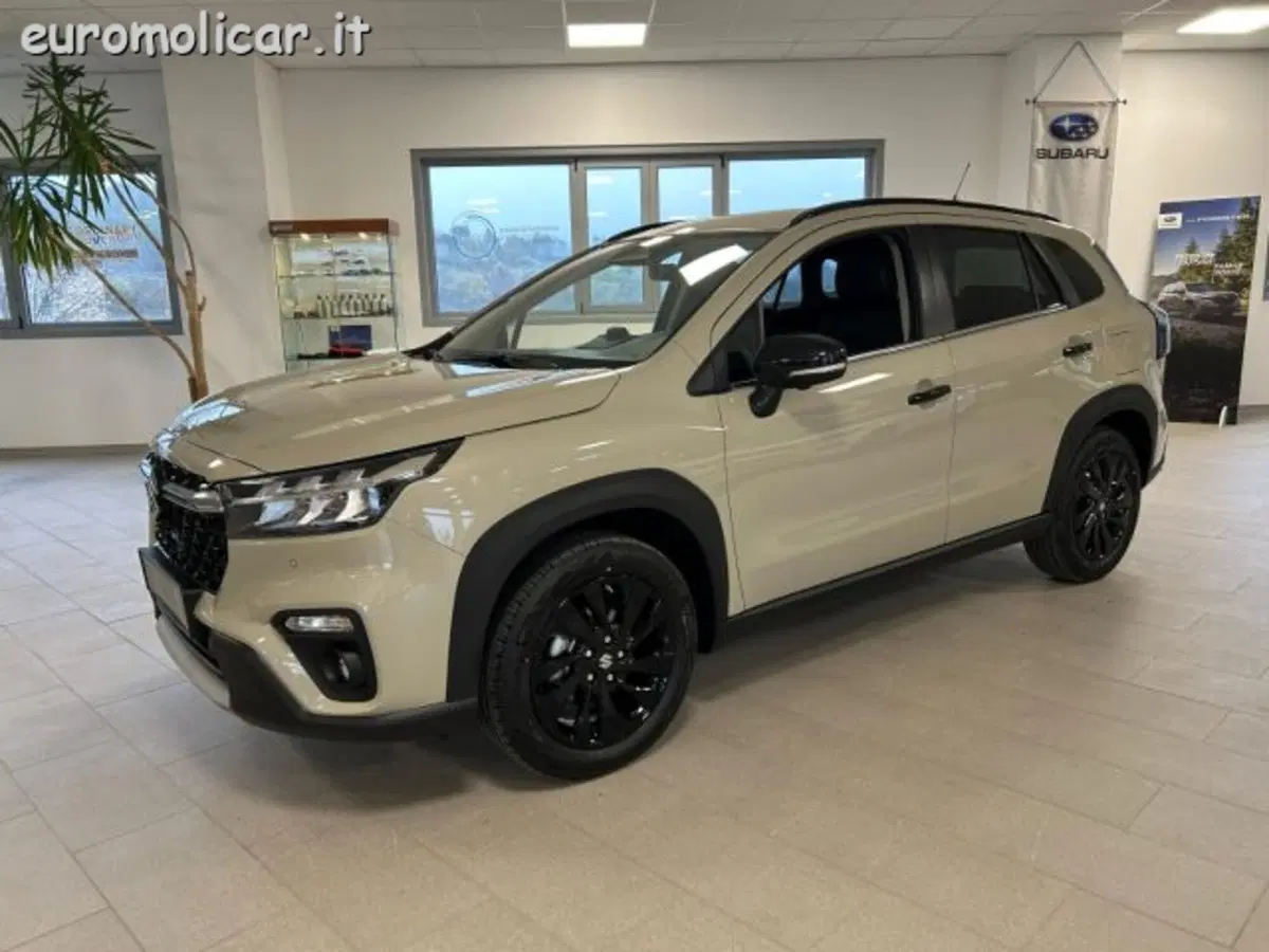 Suzuki S-Cross nuova a Campobasso (6)