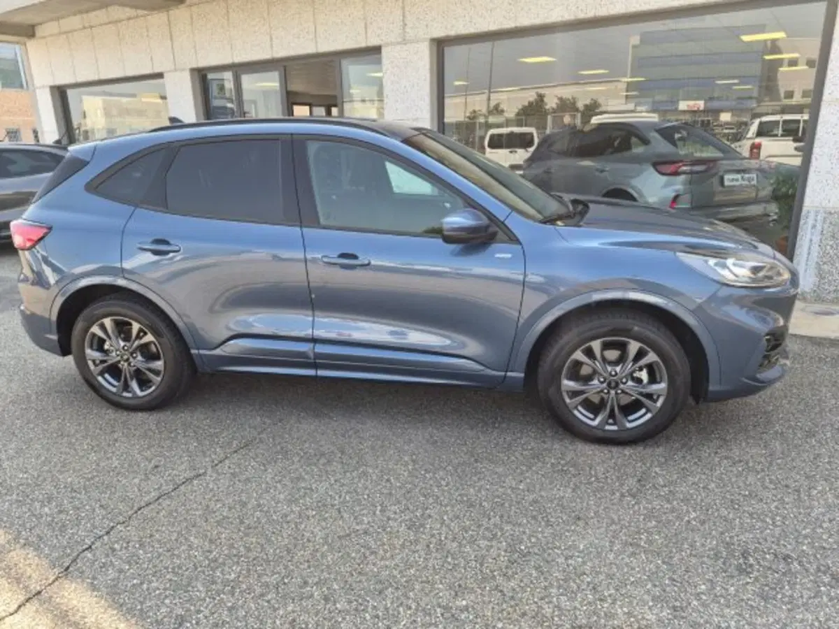 Ford Kuga usata a Cuneo (4)