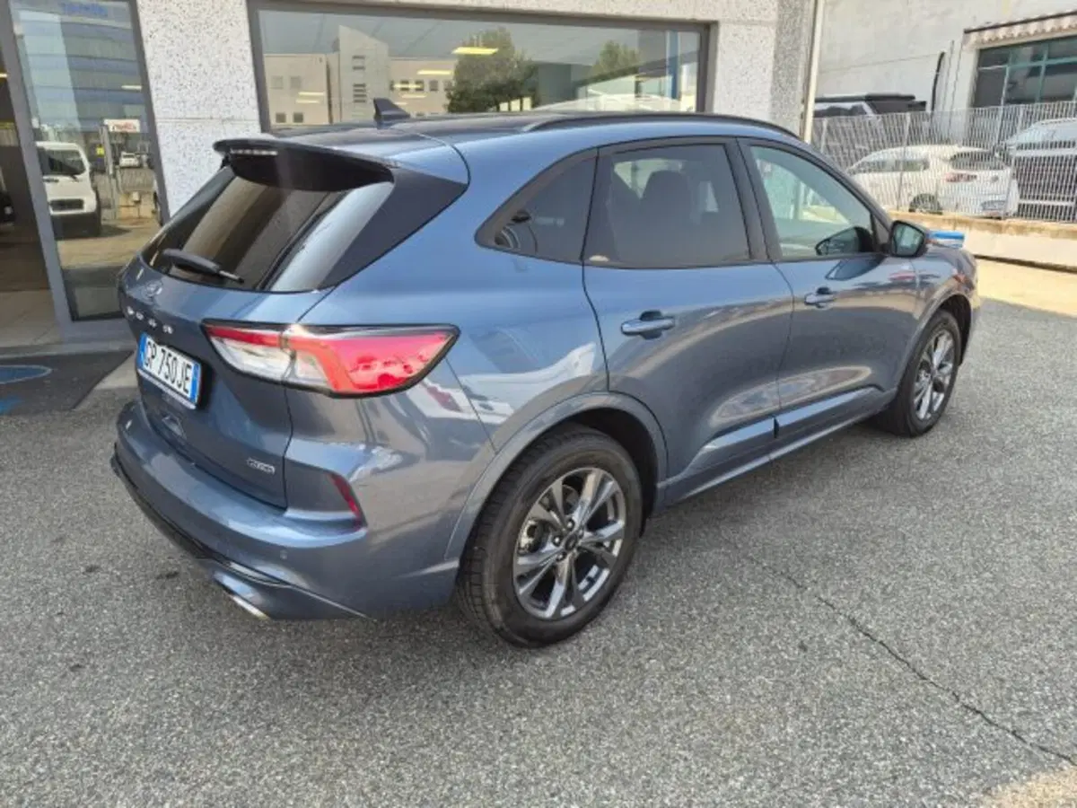 Ford Kuga usata a Cuneo (5)