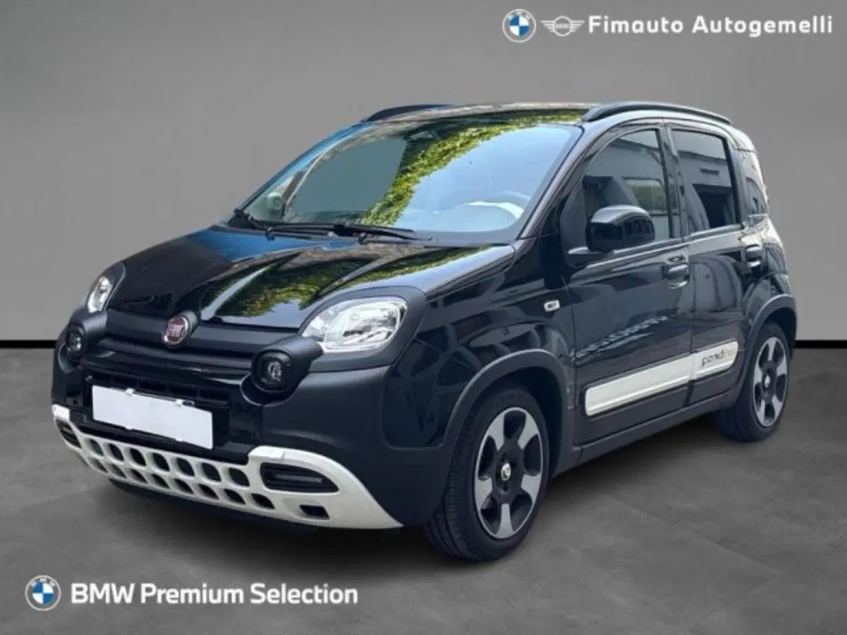 Fiat Panda Cross usata a Verona
