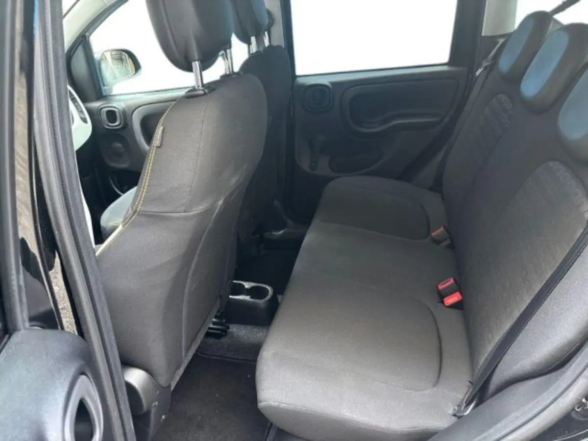Fiat Panda Cross usata a Verona (10)