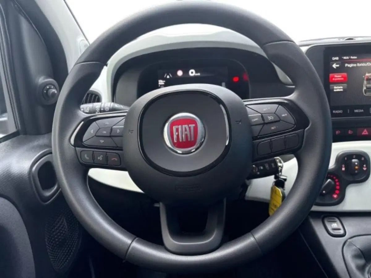 Fiat Panda Cross usata a Verona (13)