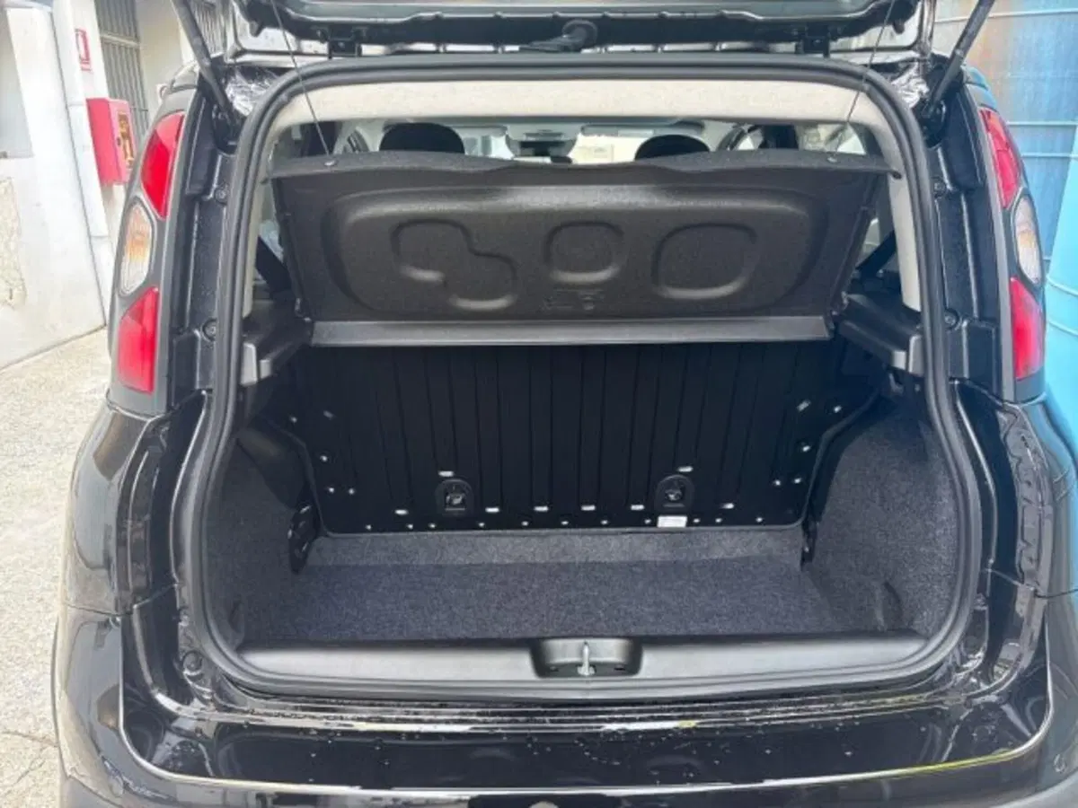 Fiat Panda Cross usata a Verona (14)