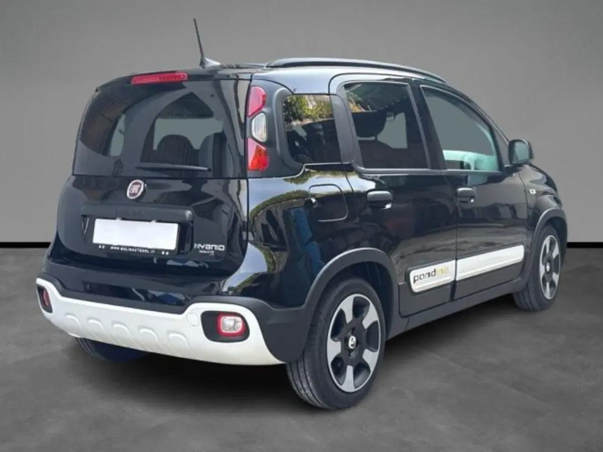 Fiat Panda Cross usata a Verona (15)