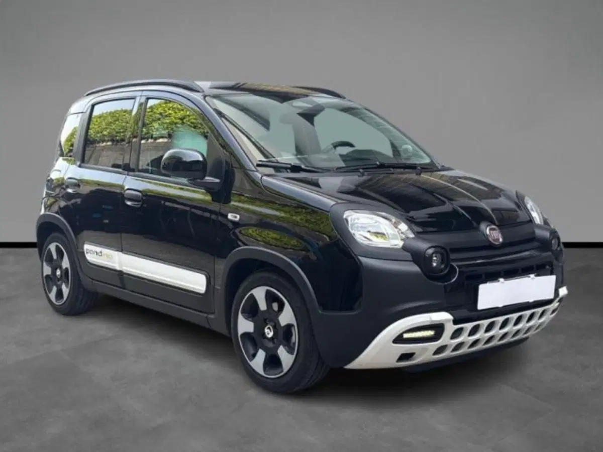 Fiat Panda Cross usata a Verona (16)