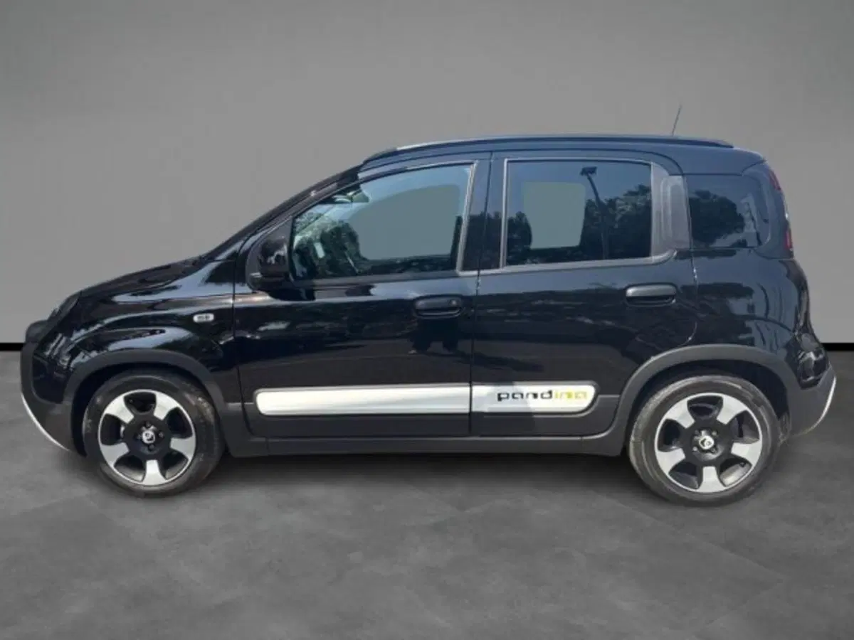 Fiat Panda Cross usata a Verona (2)