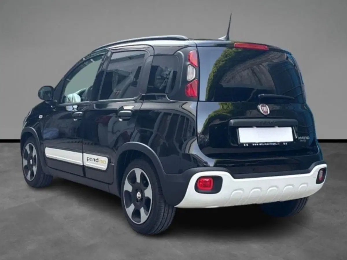 Fiat Panda Cross usata a Verona (3)