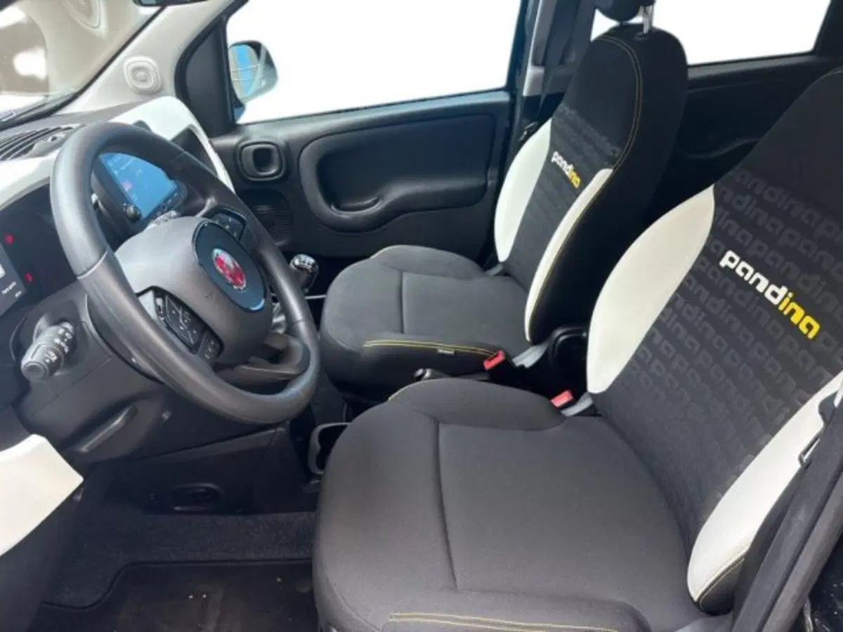 Fiat Panda Cross usata a Verona (9)