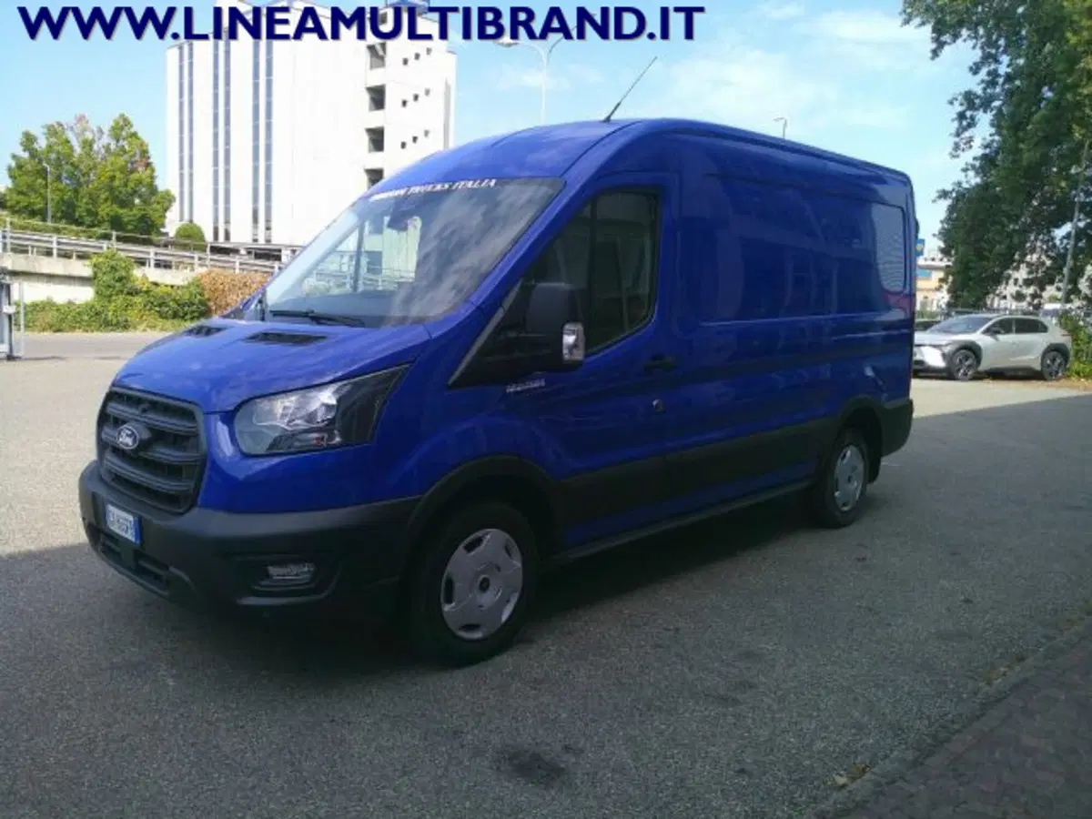 Ford Transit Furgone usata a Piacenza (2)