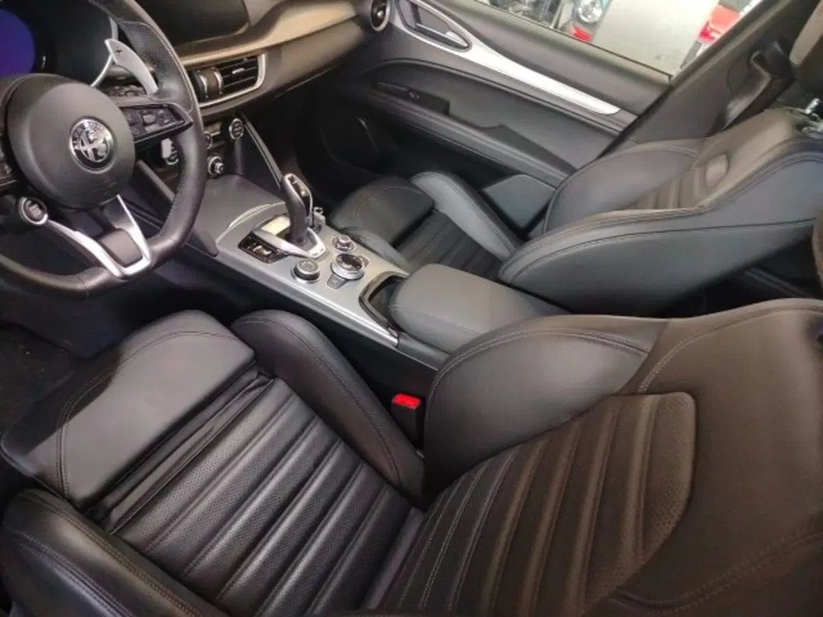 Alfa Romeo Stelvio usata a Forlì-Cesena (18)