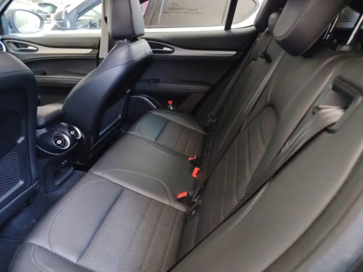 Alfa Romeo Stelvio usata a Forlì-Cesena (10)