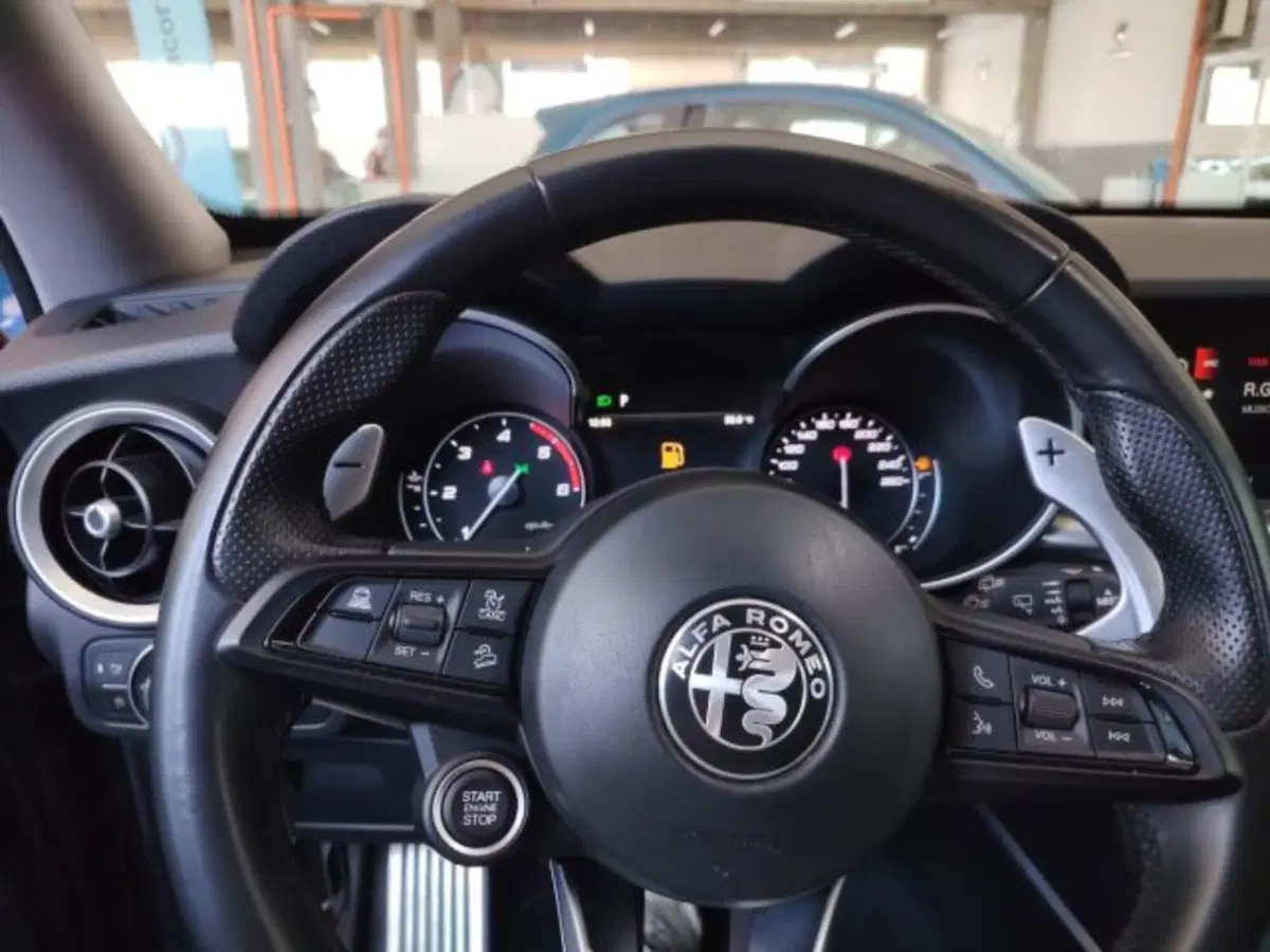 Alfa Romeo Stelvio usata a Forlì-Cesena (18)