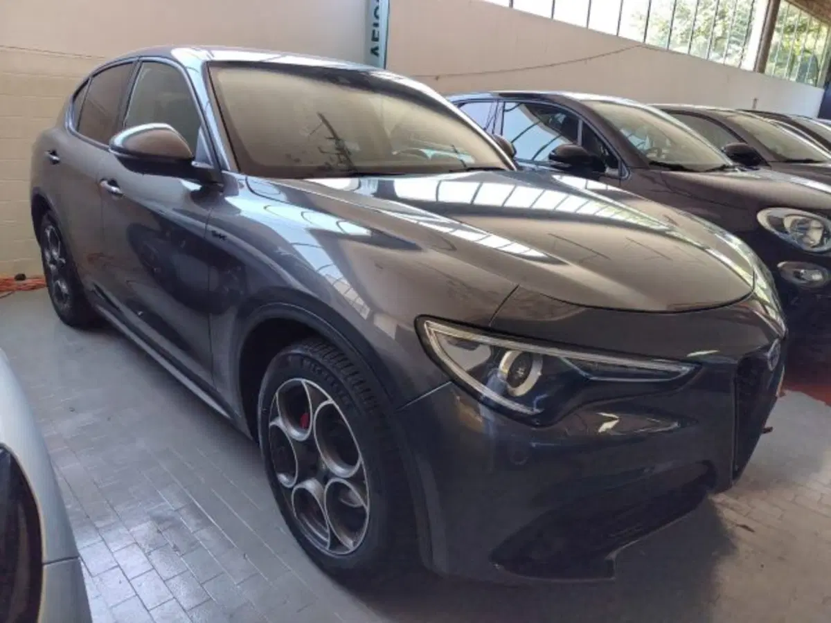 Alfa Romeo Stelvio usata a Forlì-Cesena (4)