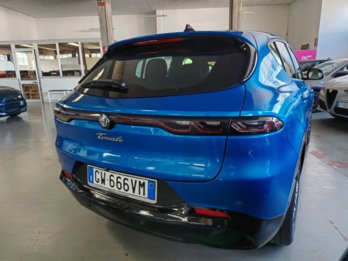 Alfa Romeo Tonale usata a Forlì-Cesena (10)