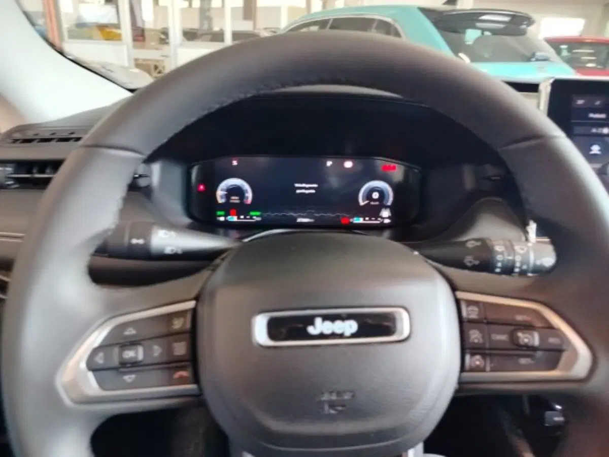 Jeep Compass usata a Forlì-Cesena (14)