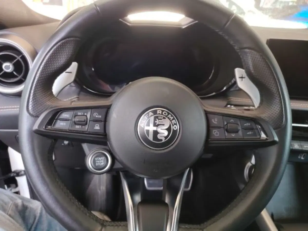 Alfa Romeo Tonale usata a Forlì-Cesena (17)