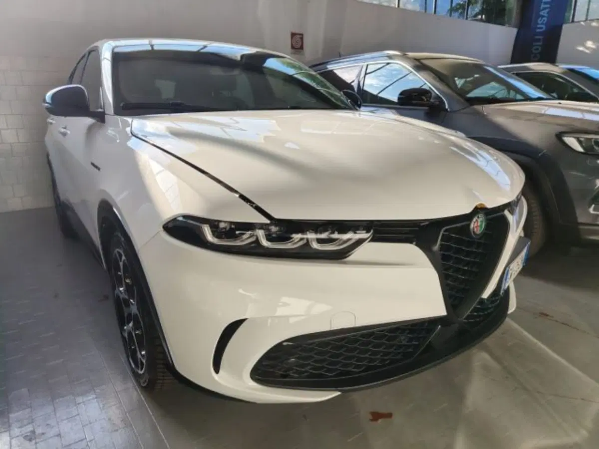 Alfa Romeo Tonale usata a Forlì-Cesena (2)