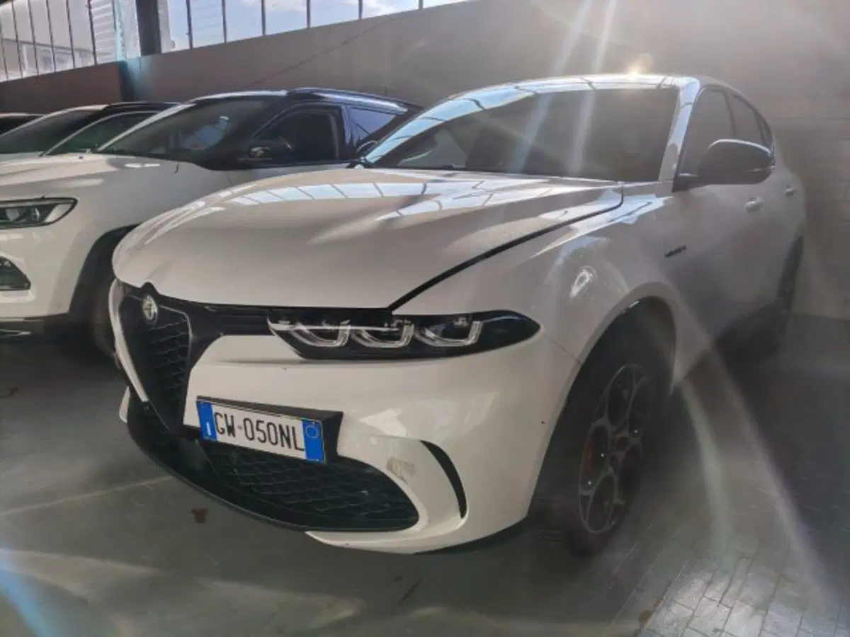 Alfa Romeo Tonale usata a Forlì-Cesena (3)