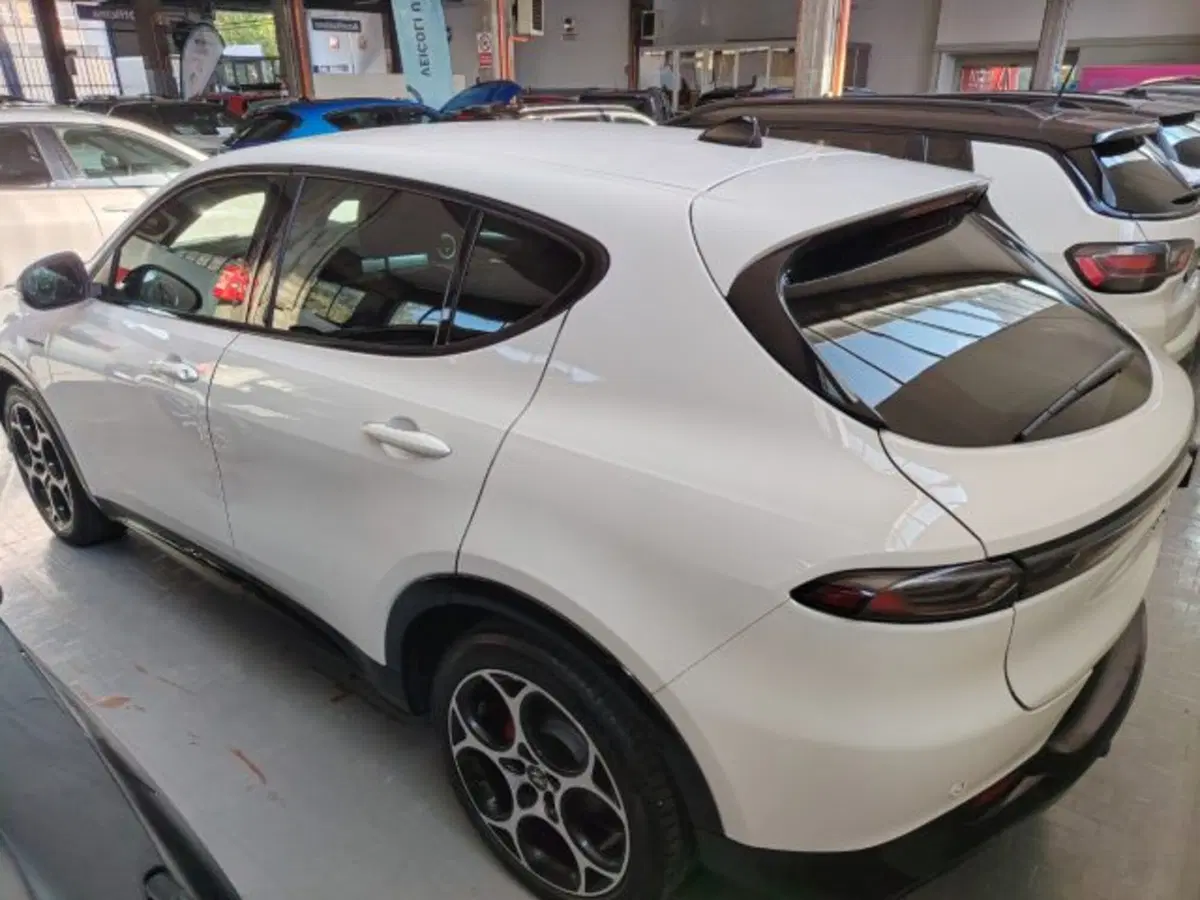 Alfa Romeo Tonale usata a Forlì-Cesena (8)