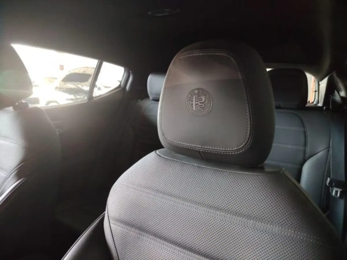 Alfa Romeo Tonale usata a Forlì-Cesena (20)