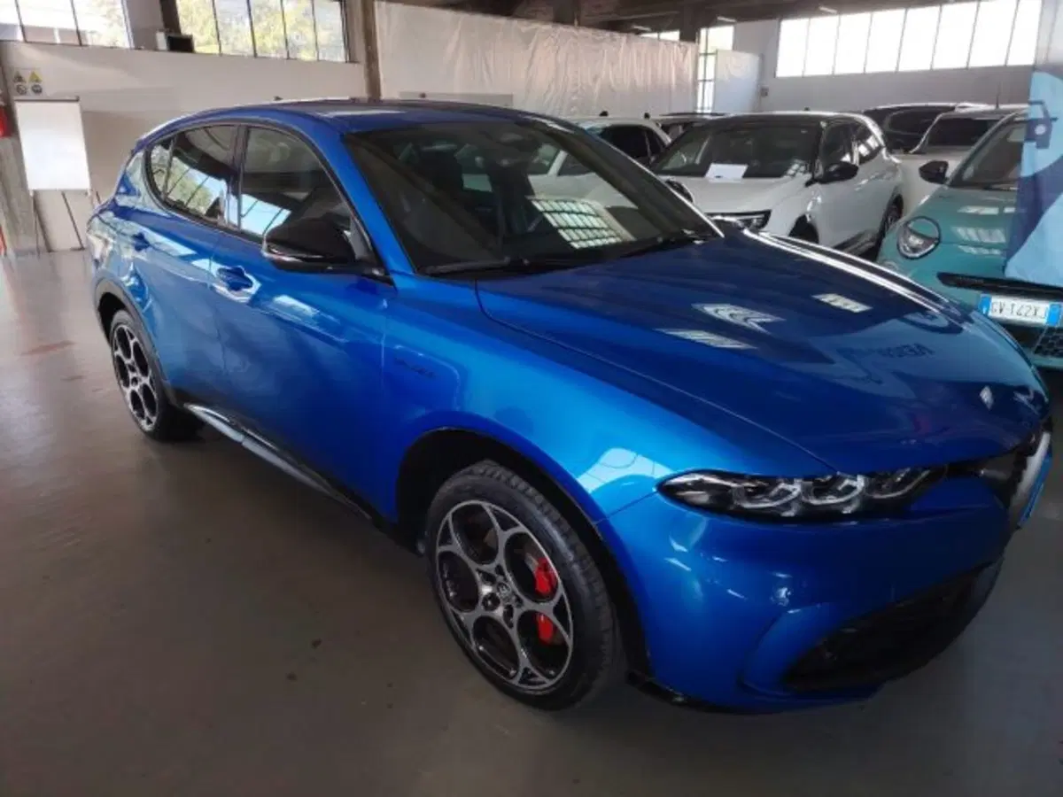 Alfa Romeo Tonale usata a Forlì-Cesena (6)