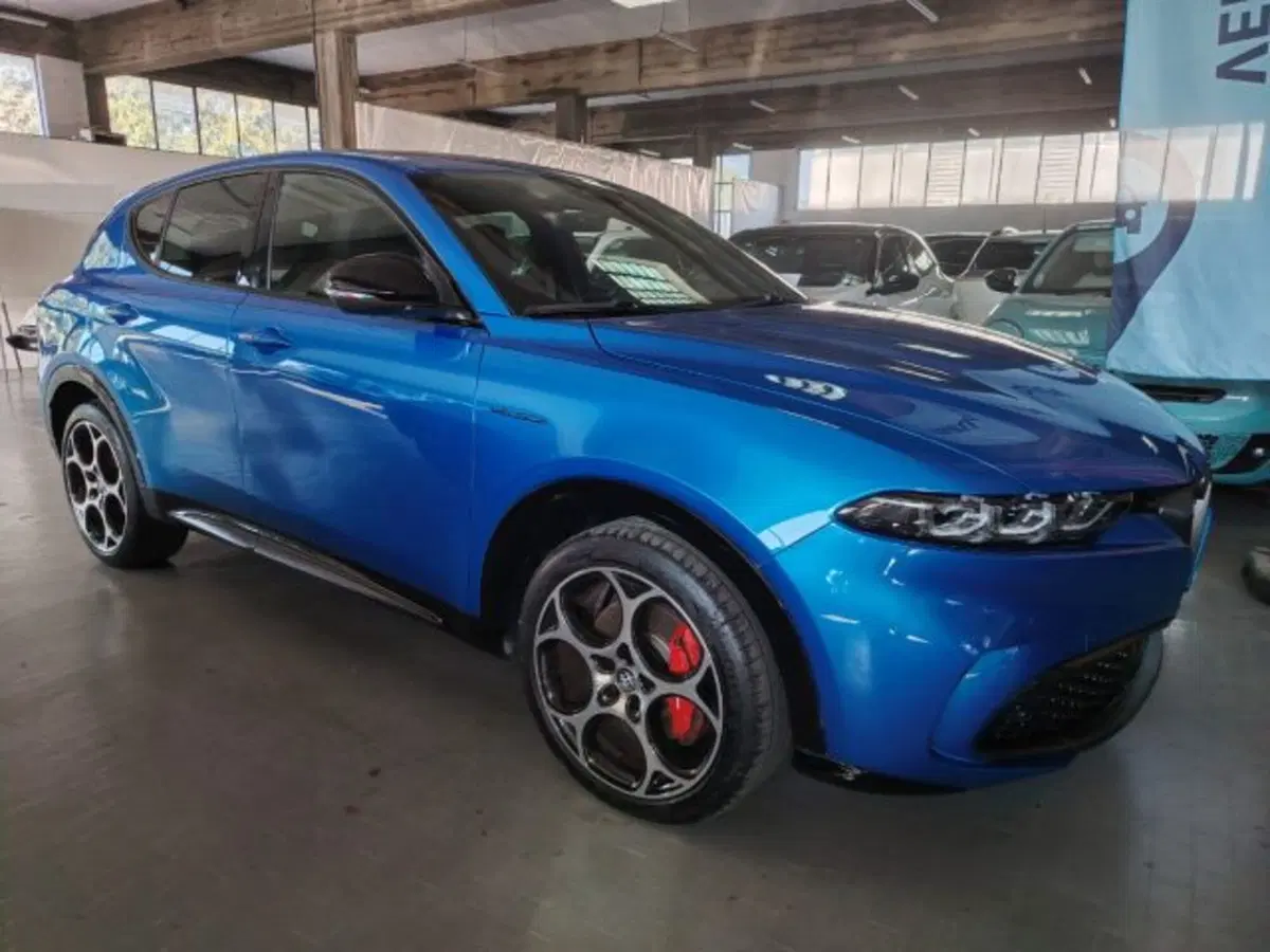 Alfa Romeo Tonale usata a Forlì-Cesena (7)
