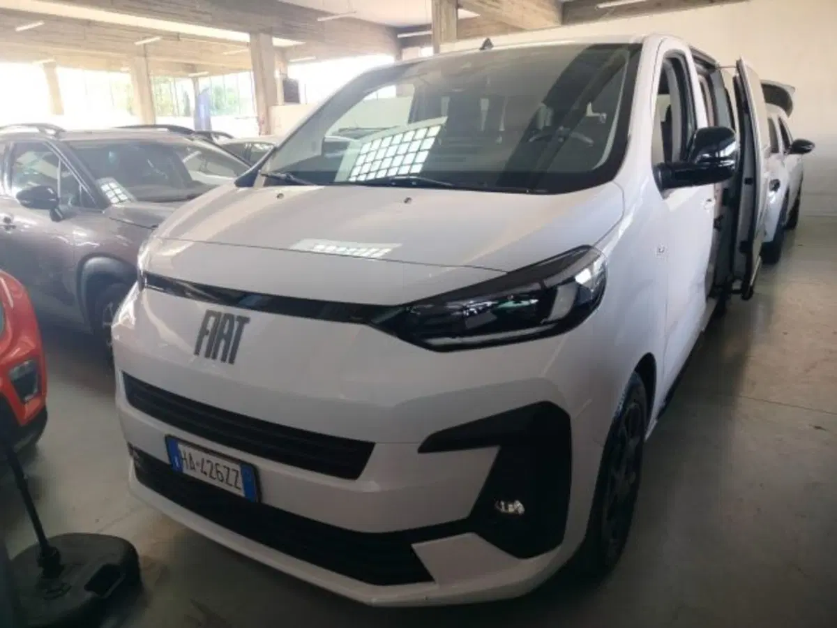 Fiat Ulysse usata a Forlì-Cesena (2)