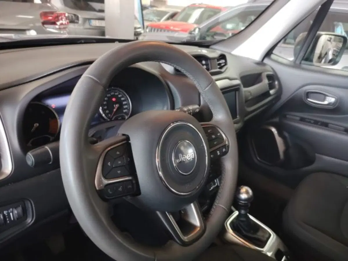 Jeep Renegade usata a Forlì-Cesena (10)