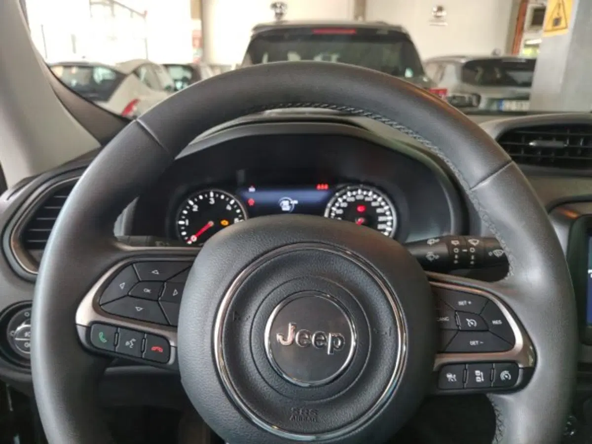 Jeep Renegade usata a Forlì-Cesena (19)
