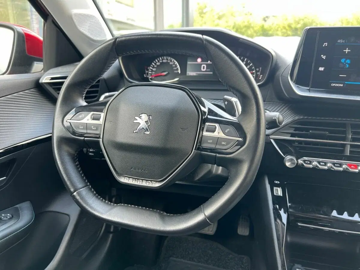 Peugeot 208 usata a Sondrio (15)