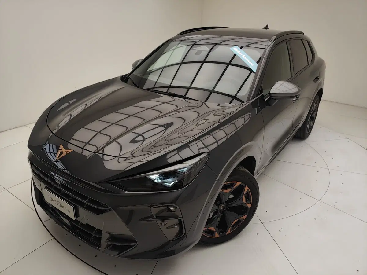 Cupra Terramar nuova a Como (15)