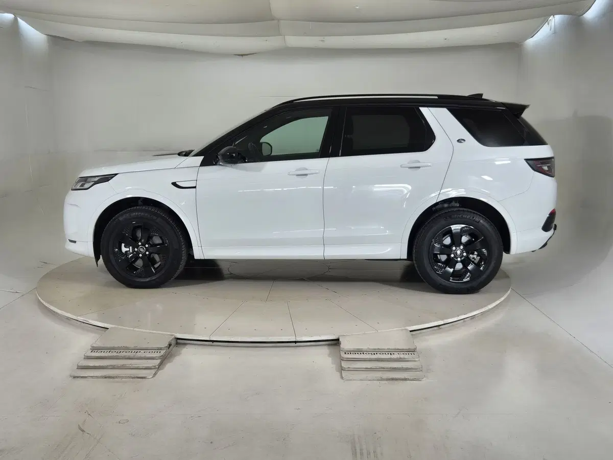 Land Rover Discovery Sport usata a Torino (6)