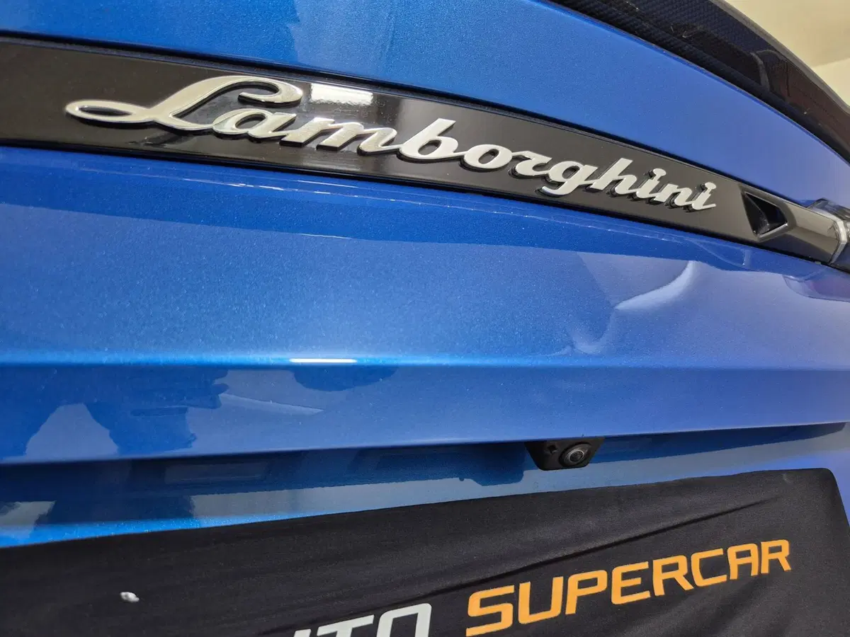 Lamborghini Urus usata a Torino (18)