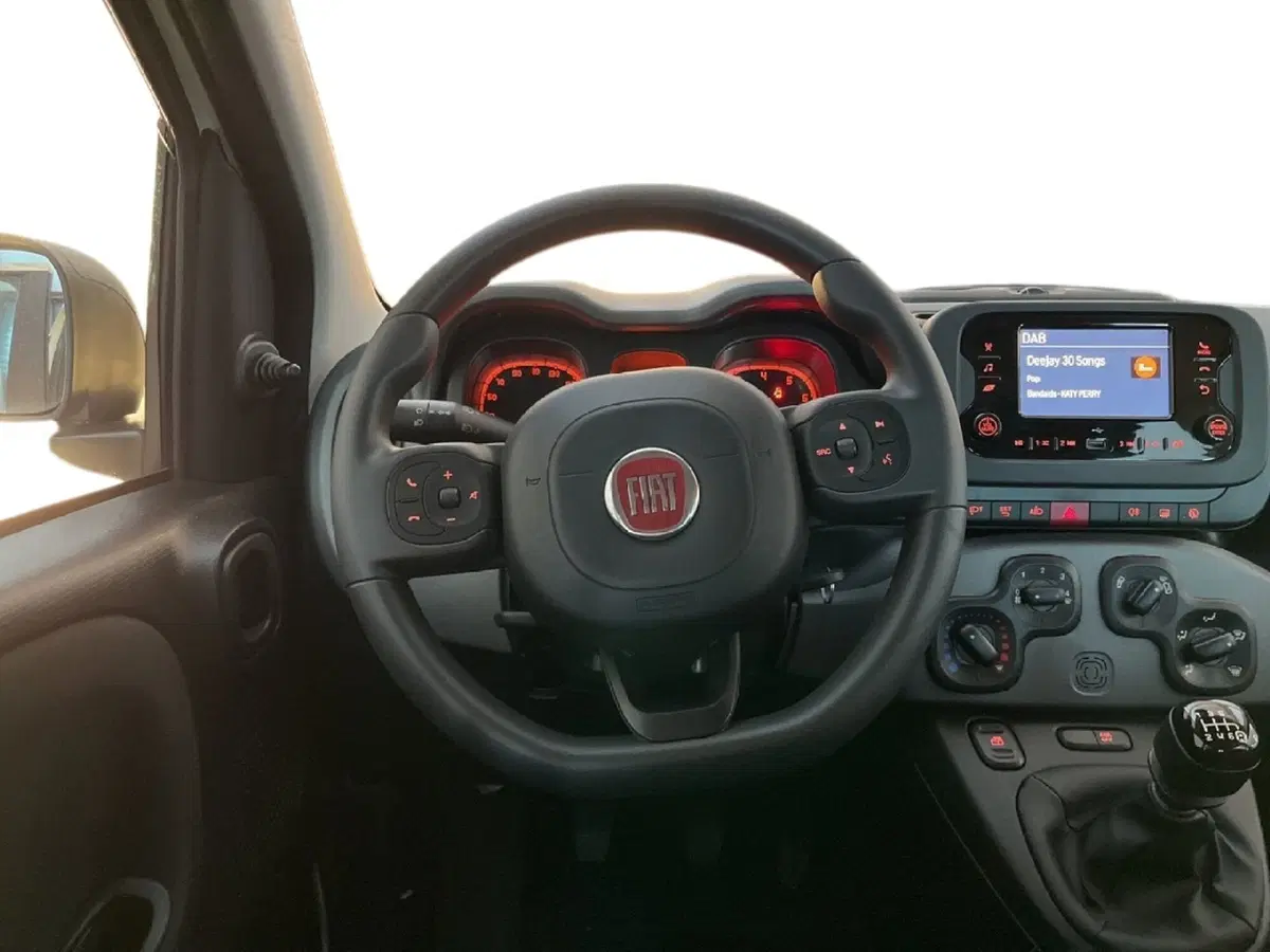 Fiat Panda Cross usata a Torino (10)